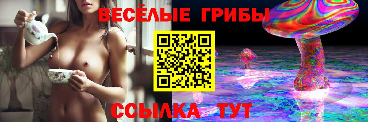 Кумертау  Псилоцибиновые грибы Magic Shrooms  Вход с VPN 